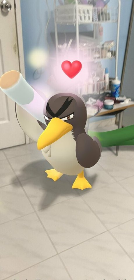 qt jackie erwachsene nackten bilder