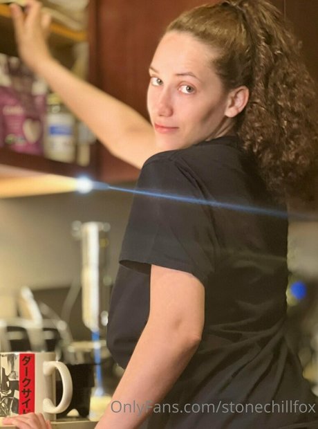 stonechillfox schöne freie bilder