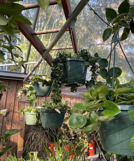 natnevv sex galerien