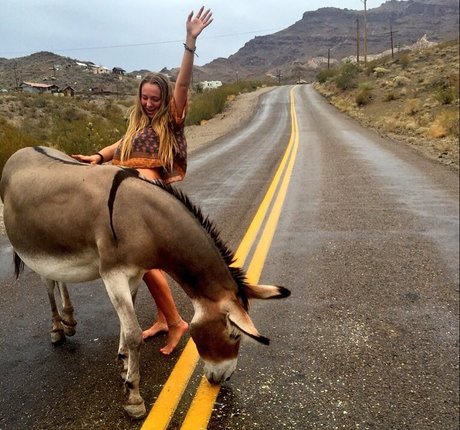 Kimi McFarland hübsche nacktheit archiv