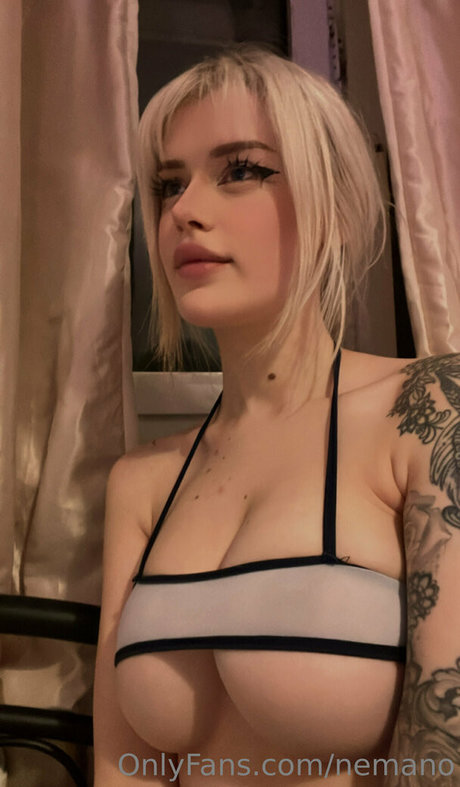 nemano kunst erotische foto