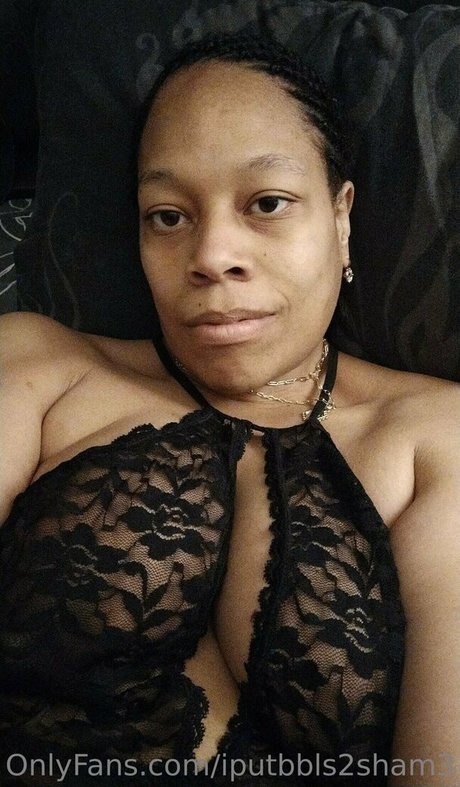 iputbbls2sham3 model nette archiv