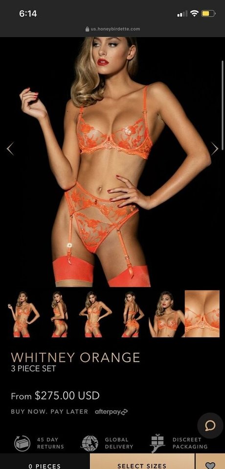 autumn zoldyck Bilder