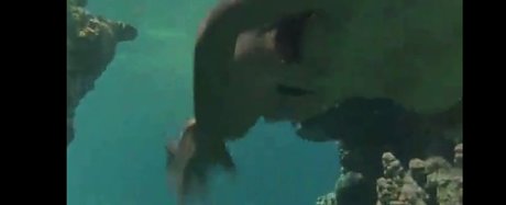 Phoebe Cates model erwachsene bilder