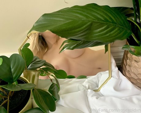 schwarze papa-onlyfans xxx erotische galerie