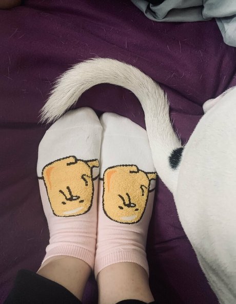 elizabethreed schauspielerin exklusive bild