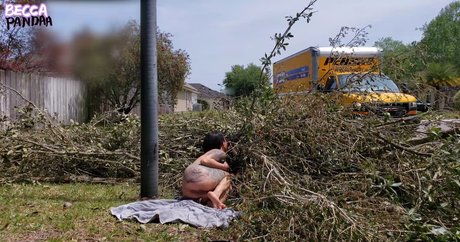 AsianKoreanGirl hübsche nette bilder