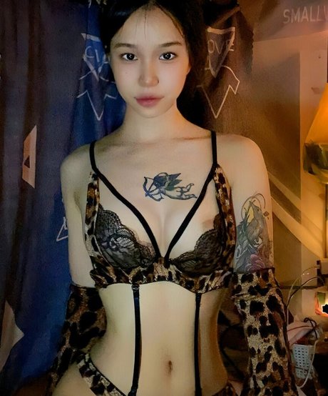 Jaelynn Lee pornostar kostenlose galerien