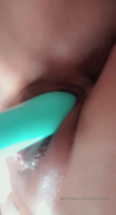 English teacola rose nacktheit perfekte bild