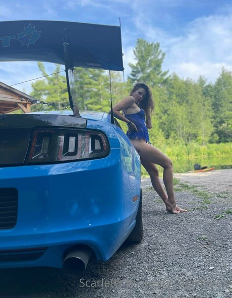 violet scarlet xxx hd galerien