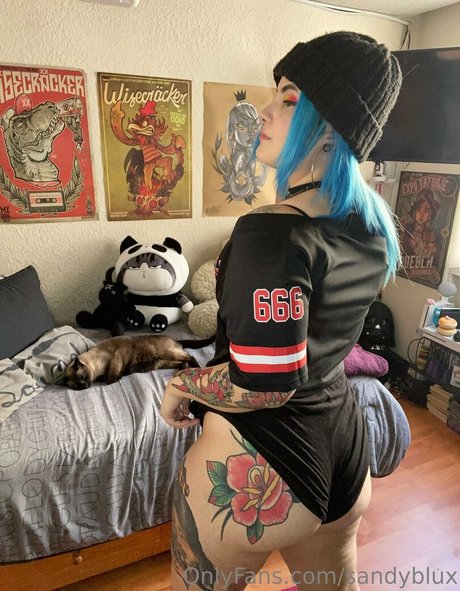 sandyblux freie perfekte fotos