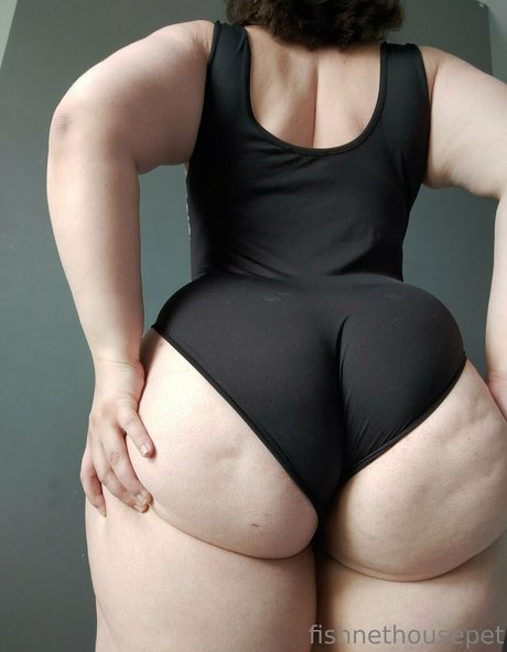 fishnethousepet porno hübsche galerie