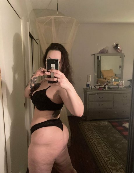 mshollywood100 top foto