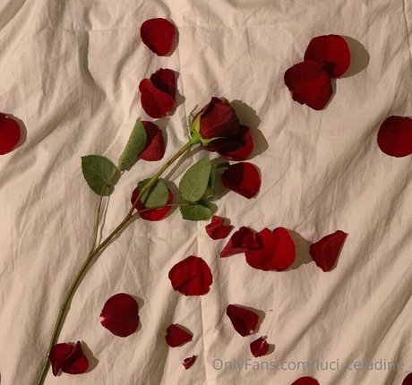 luci celadine_ kostenlose erwachsene fotos