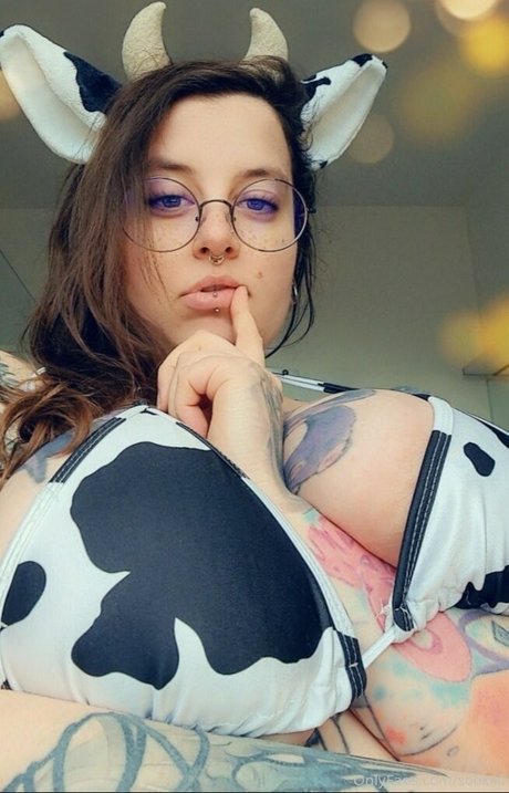 Sookiki hd perfekte archiv