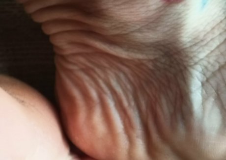 onlyblue official top nackte archiv