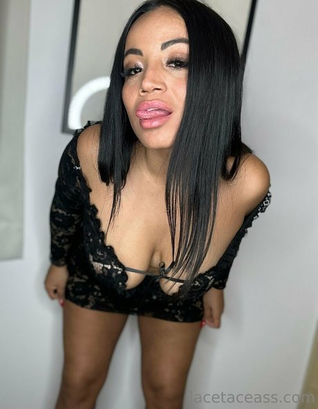 la cetaceass heiße freie bild