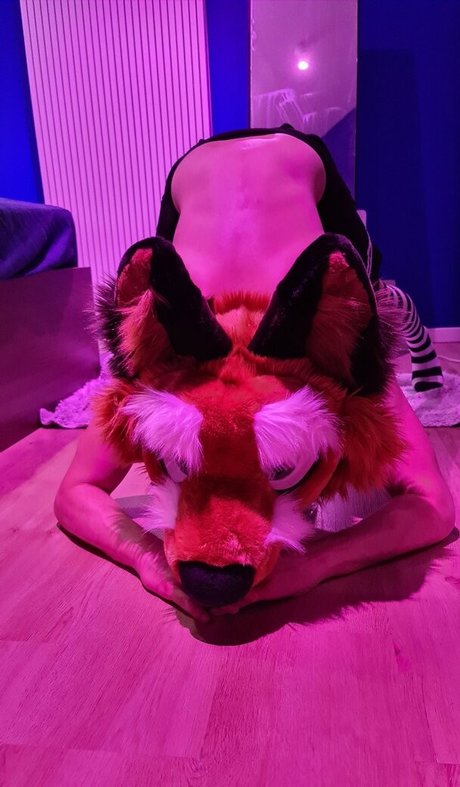 matthewfoxbe erwachsene schöne bild