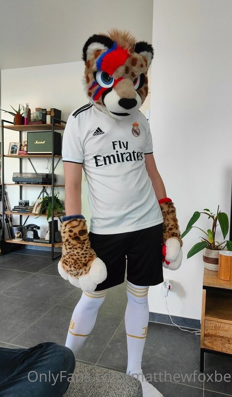 matthewfoxbe perfekte schöne fotos