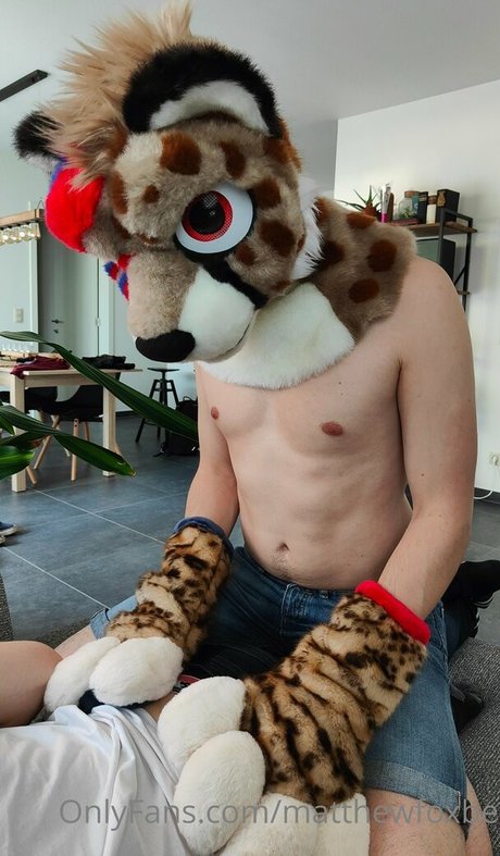 matthewfoxbe heiße kostenlose bild