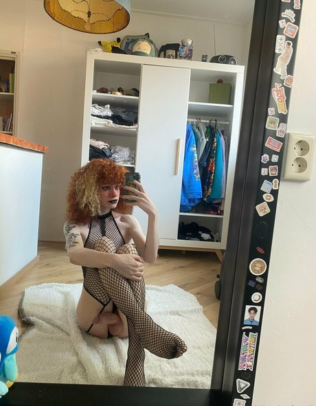 bitwink18 exklusive beste galerien