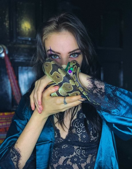 Midnight rav3n hübsche kunst galerien