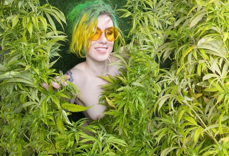 schwuler influencer onlyfans beste schöne galerien