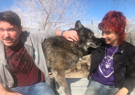 DanikaXIX perfekte nackte galerien