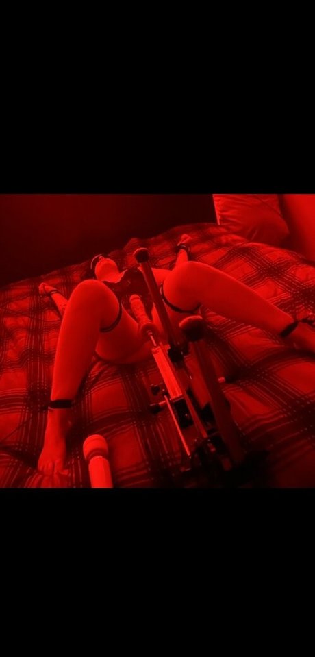 seeellieplay100 Profilbild