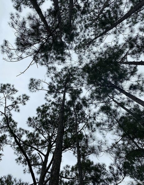 nur fans mit großem hintern erotische porno bild