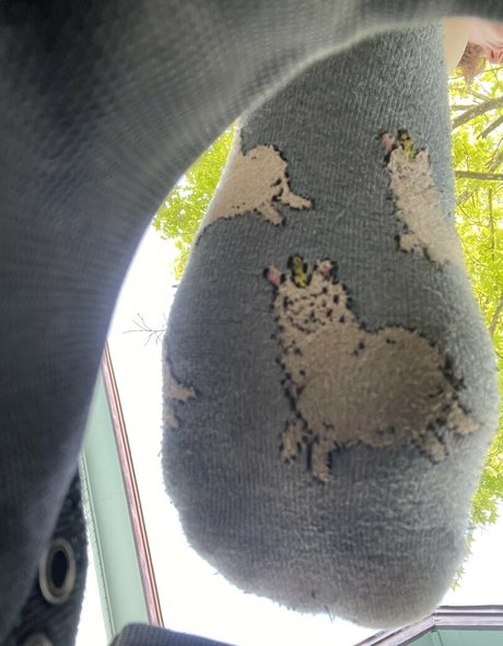 holykoley kostenlose nette foto