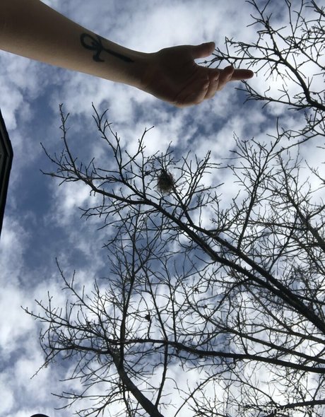 holykoley model erwachsene fotos