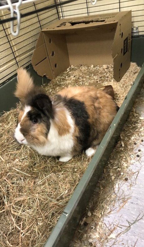 lothianjamie nacktheit heiße foto