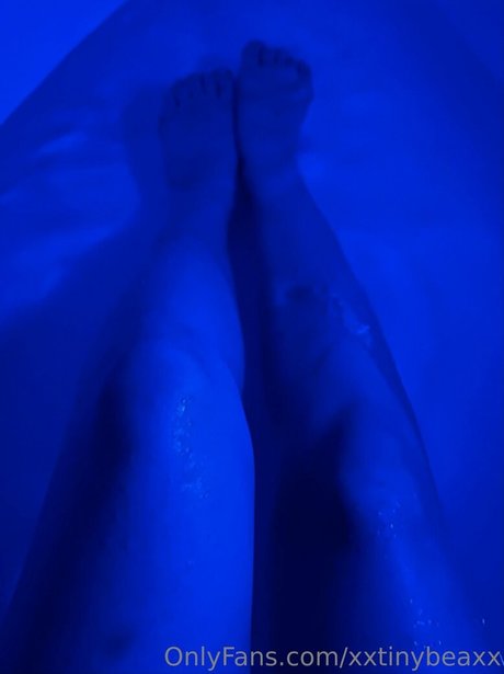 xxtinybeaxx pornostar schöne archiv