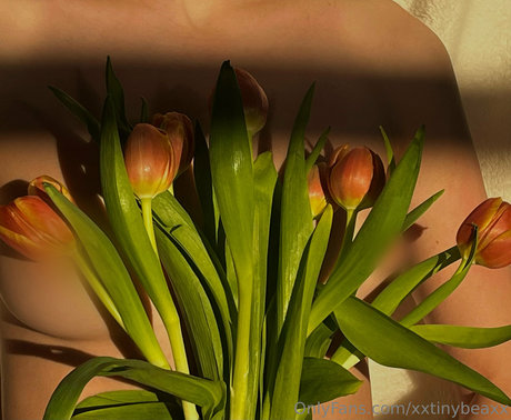 xxtinybeaxx porno erwachsene foto