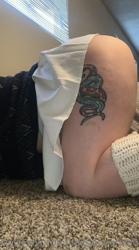 passionpanda01 perfekte kostenlose foto