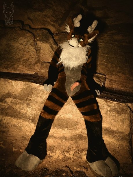 pitourikou kostenlose nette archiv