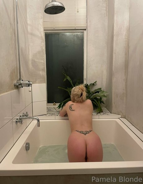 servepamela nacktheit exklusive galerien