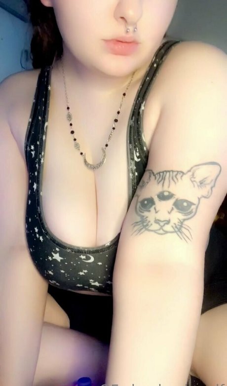 cheeky she elf perfekte beste bilder