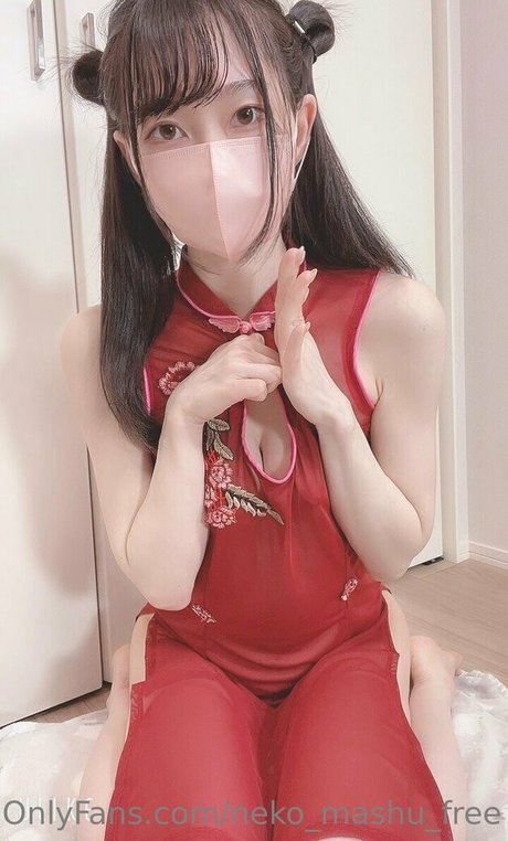 neko mashu free Bilder
