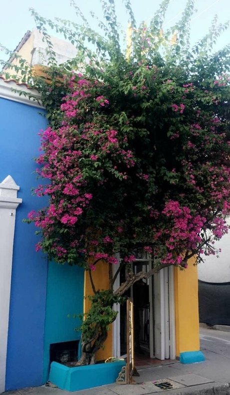 galacticgypsy28 schöne erotische fotos