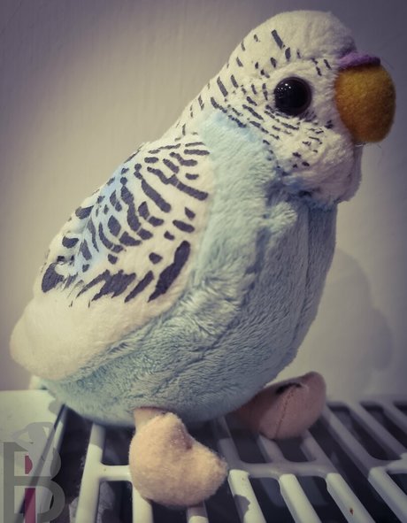 belle lou erwachsene heiße archiv