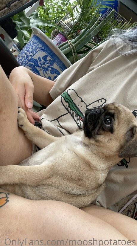 mooshpotatoes akt bilder