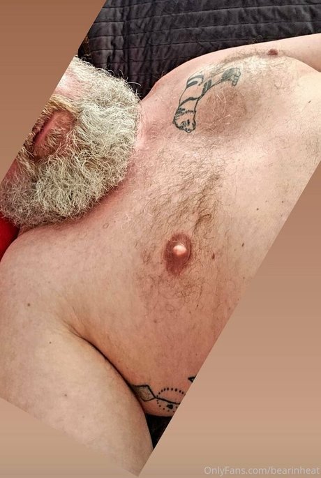 bearinheat porno beste bilder