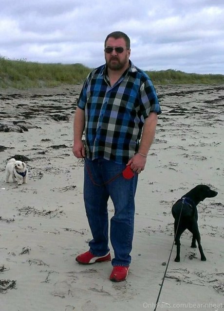 bearinheat xxx porno galerie