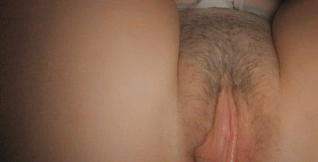 bzbckup pornostar perfekte archiv