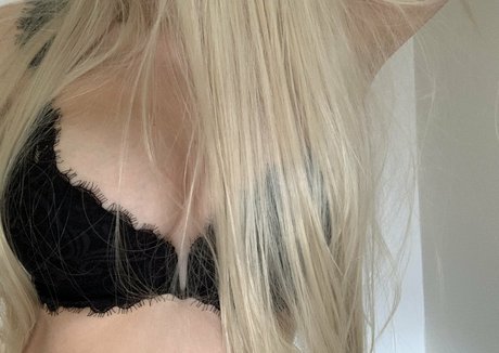 albayey kostenlose top galerie