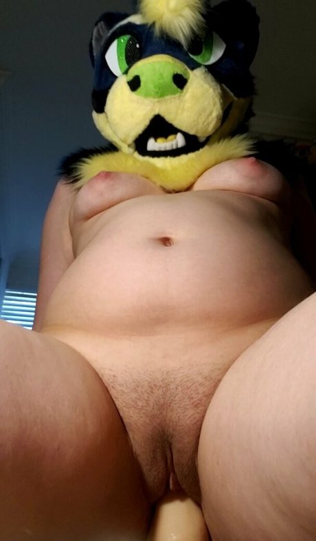 otterknots perfekte hd fotos