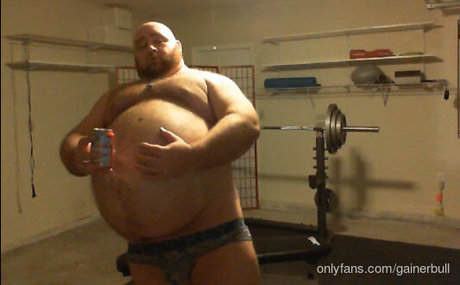 gainerbull top kostenlose fotos