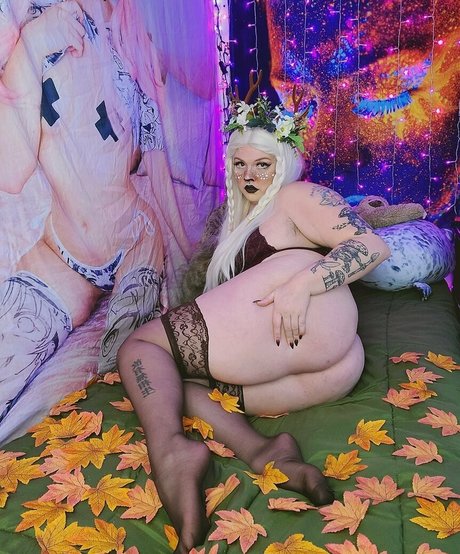 succubusworld perfekte exklusive galerie